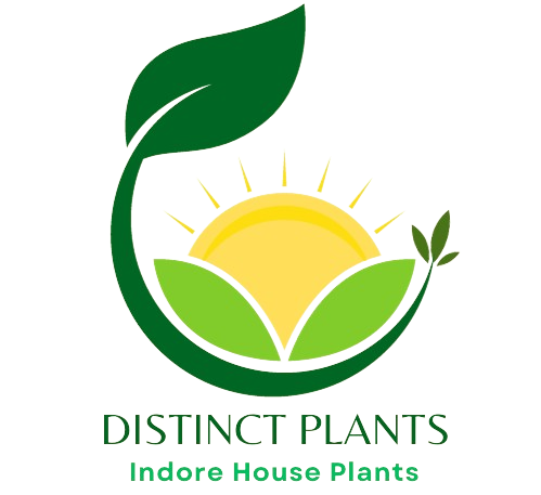 Distinct Plants
